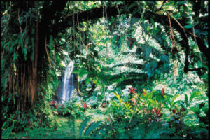 Jardins de Vaipahi - Tahiti